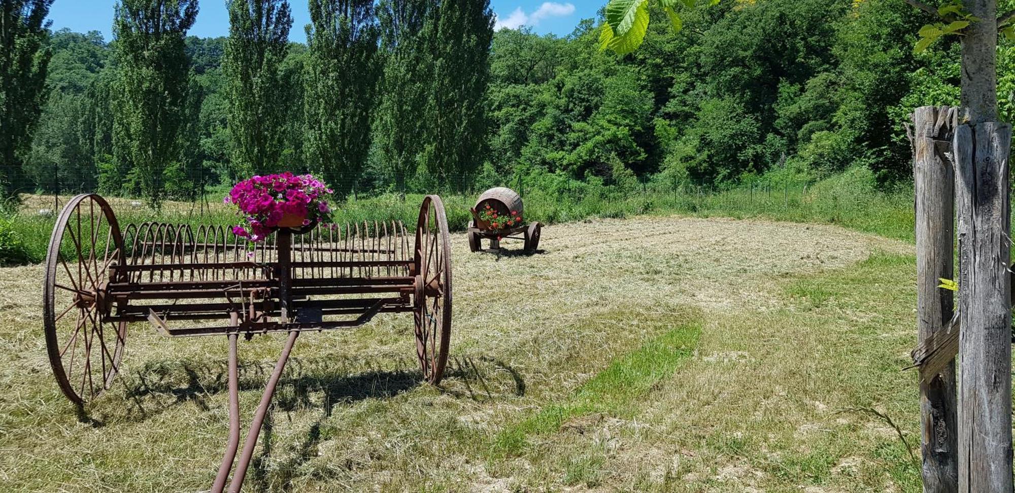 Вілла Il Ciottone Ночера-Умбра Екстер'єр фото